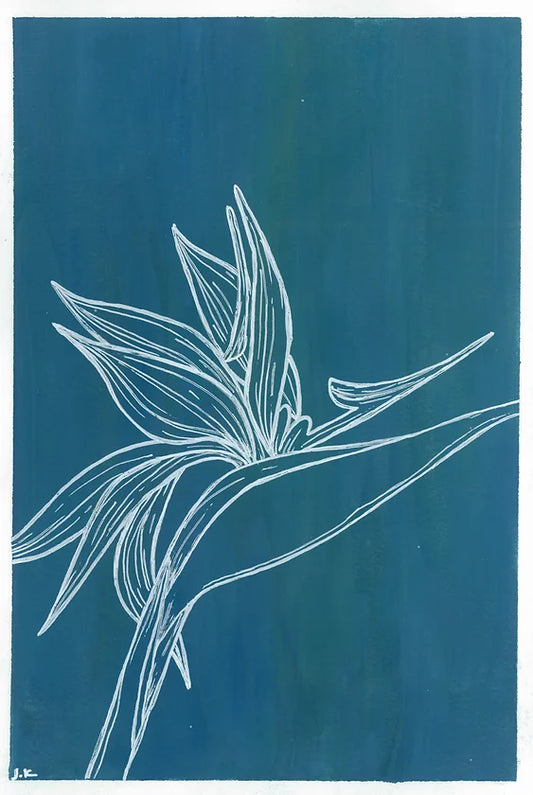 Bird of Paradise