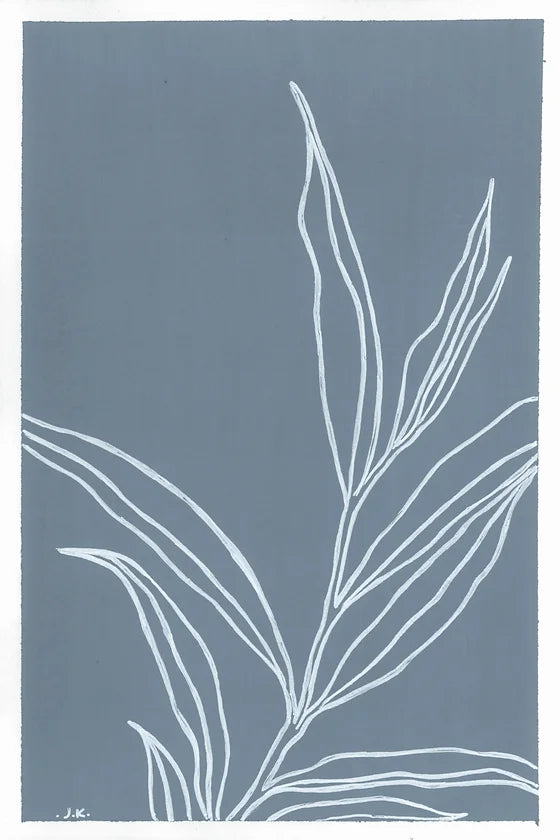 Eucalyptus Nicholii - Original