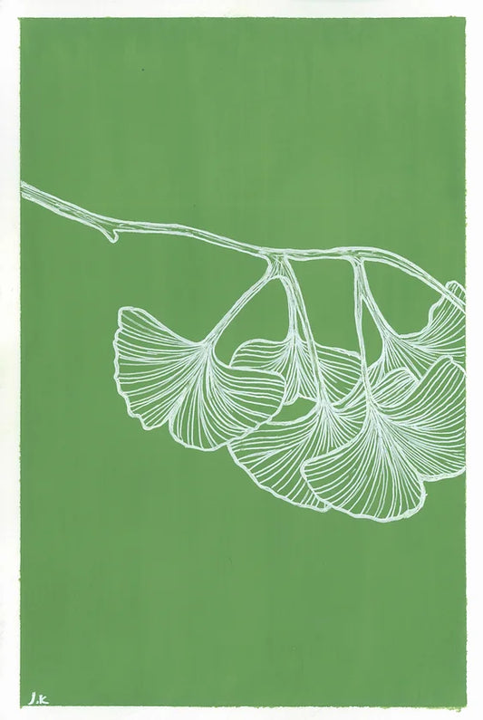 Ginkgo