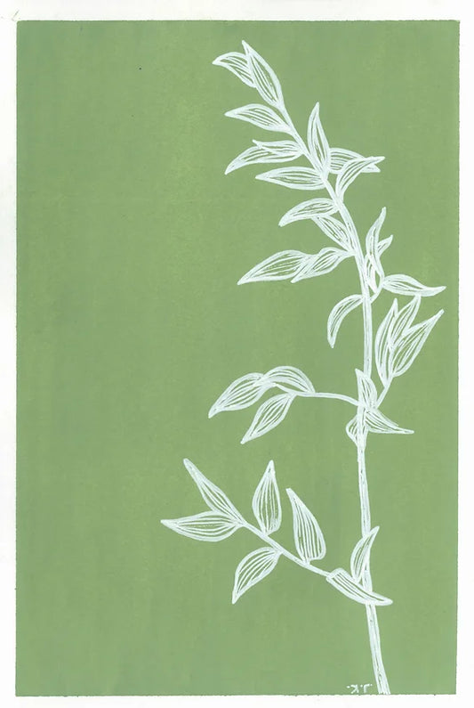 Italy Vine - Original