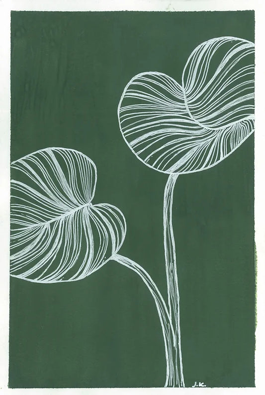 Philodendron