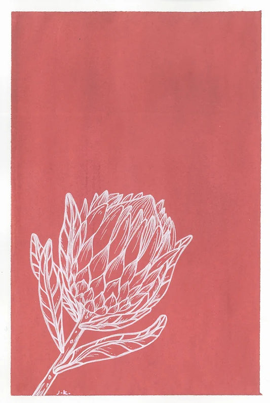 Protea