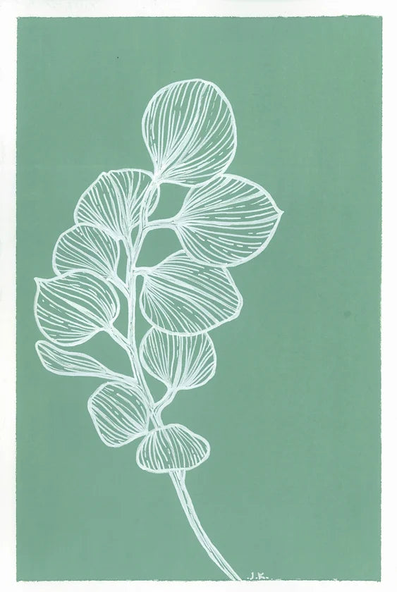 Silver Dollar Eucalyptus - Original
