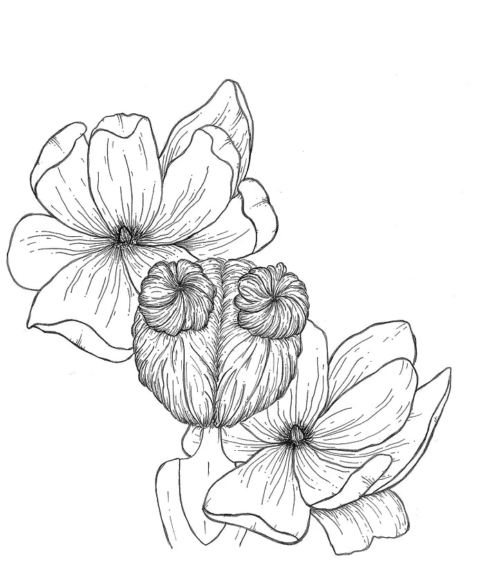 Line drawing titled "Worthy" by Agave Designs, showcasing a floral arrangement with three large magnolia blossoms and two small bud-like structures at the center. The intricately detailed petals capture a sense of dignity and beauty set against a plain background.