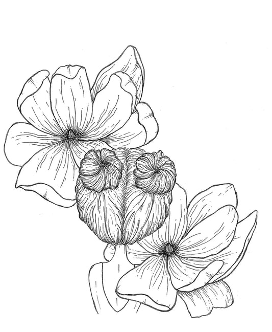 Line drawing titled "Worthy" by Agave Designs, showcasing a floral arrangement with three large magnolia blossoms and two small bud-like structures at the center. The intricately detailed petals capture a sense of dignity and beauty set against a plain background.